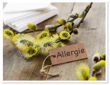 Symbolbild Allergie-Auslöser