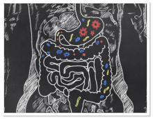 Symbolbild Darmgesundheit