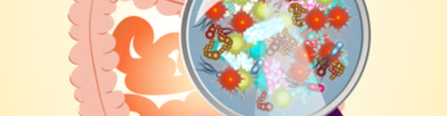 Symbolbild Magen-Darm-Trakt