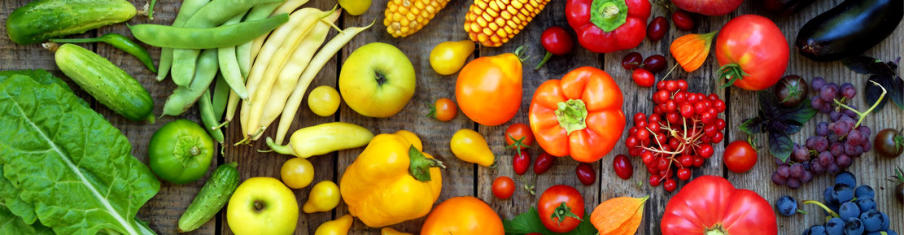 Symbolbild Ernährungsmedizin