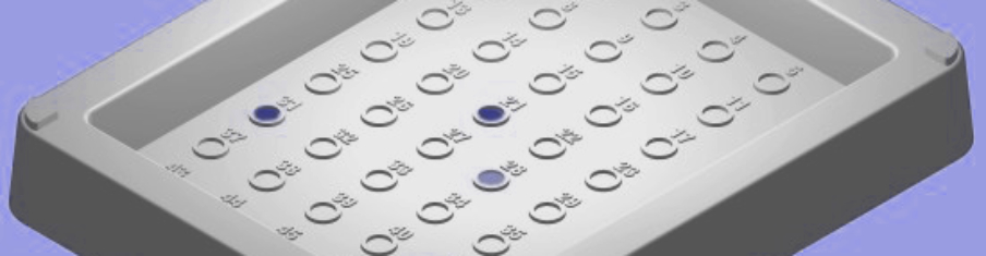 Symbolbild Schnelltest Nahrungsmittelunverträglichkeiten