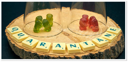 Symbolbild Quarantäne