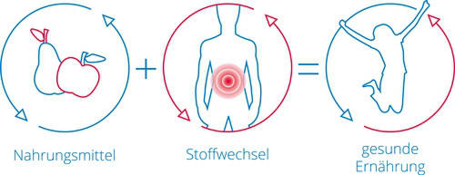Symbolbild Stoffwechsel